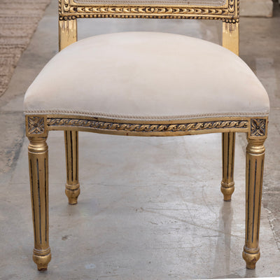 Louis XVI Gilded Dining Chair – Carved Frame with White Velvet Upholstery
