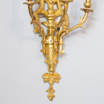Pair of Rococo Gilded Wall Sconces - Cage Frame in Bright Gold