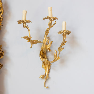 Louis XV Gilded Sconce – Bright Gold with Leaf Carved Frame - Wired Sconces | Le Chateau (Atlanta, GA) • 1