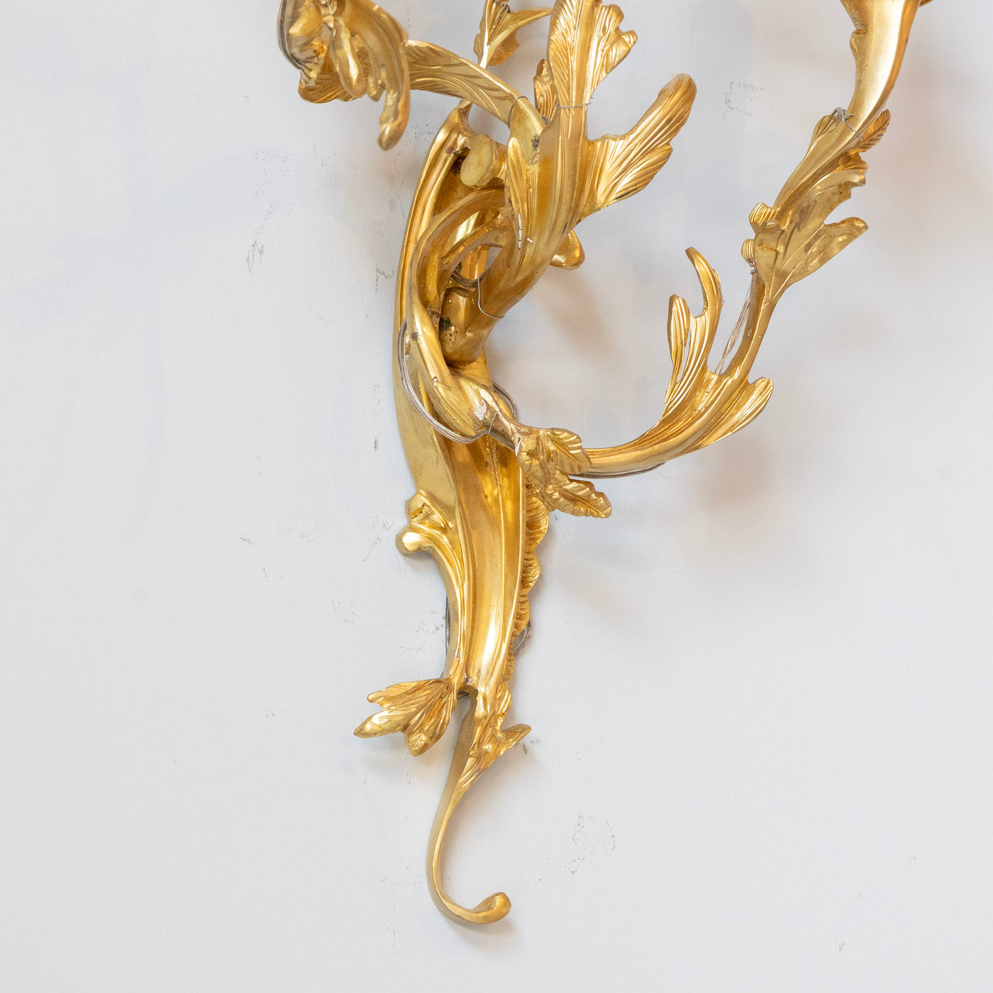Louis XV Gilded Sconce – Bright Gold with Leaf Carved Frame - Wired Sconces | Le Chateau (Atlanta, GA) • 6