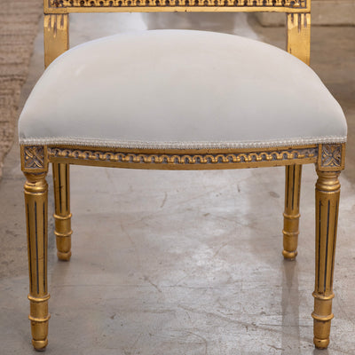Louis XVI Gilded Dining Chair – Detailed Carvings with White Velvet Upholstery