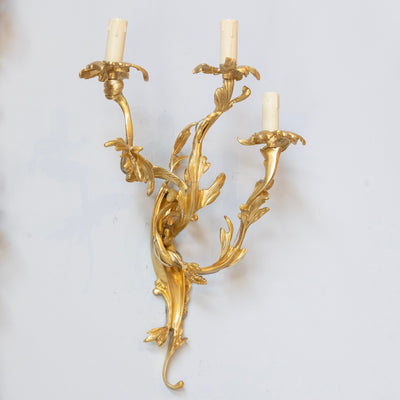Louis XV Gilded Sconce – Bright Gold with Leaf Carved Frame - Wired Sconces | Le Chateau (Atlanta, GA) • 2