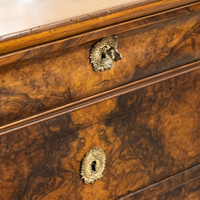 Louis Philippe Marbled Burl Wood Chest – Ornate Pulls