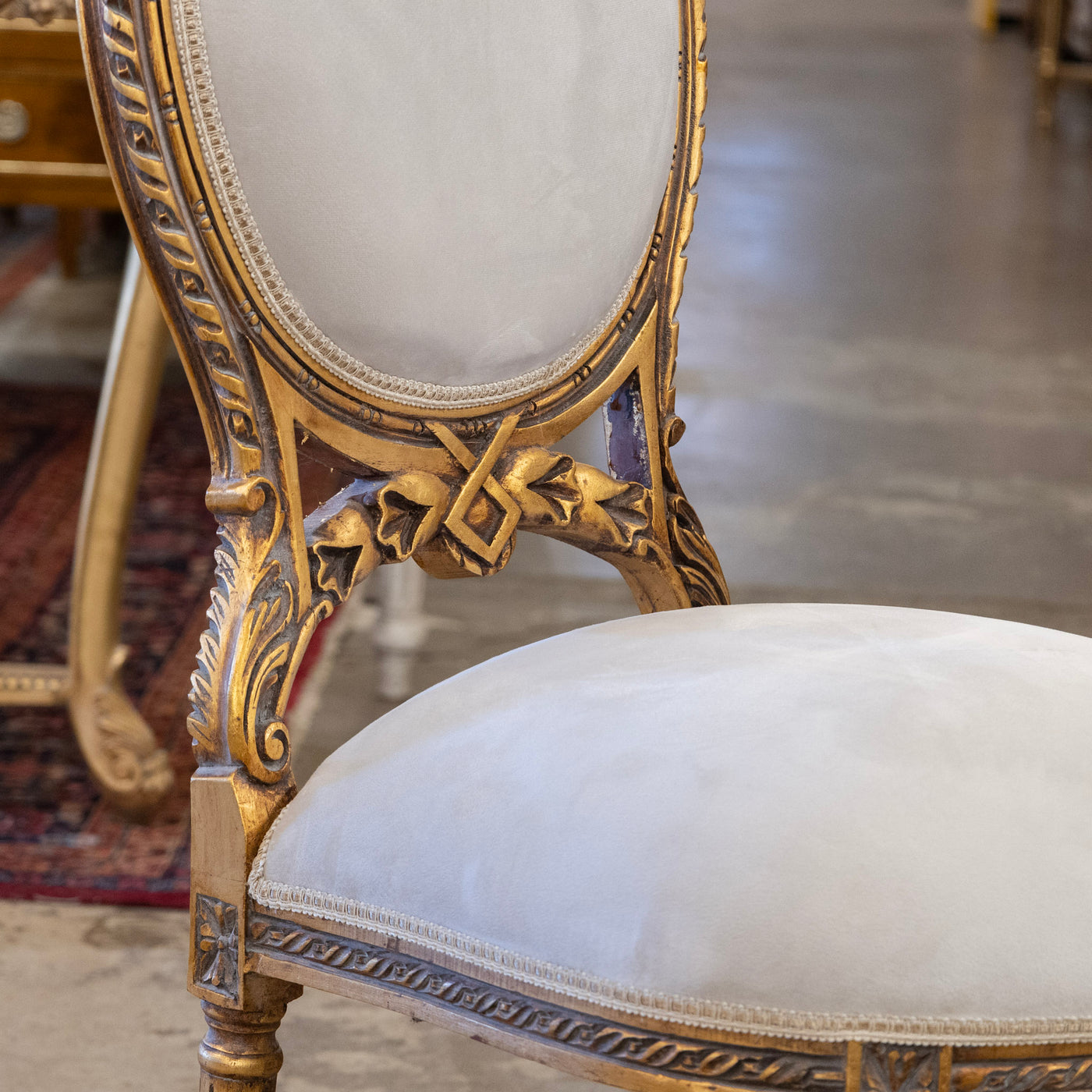 Louis XVI Round Dining Chair – Soft Gray Velvet & Gilded Frame