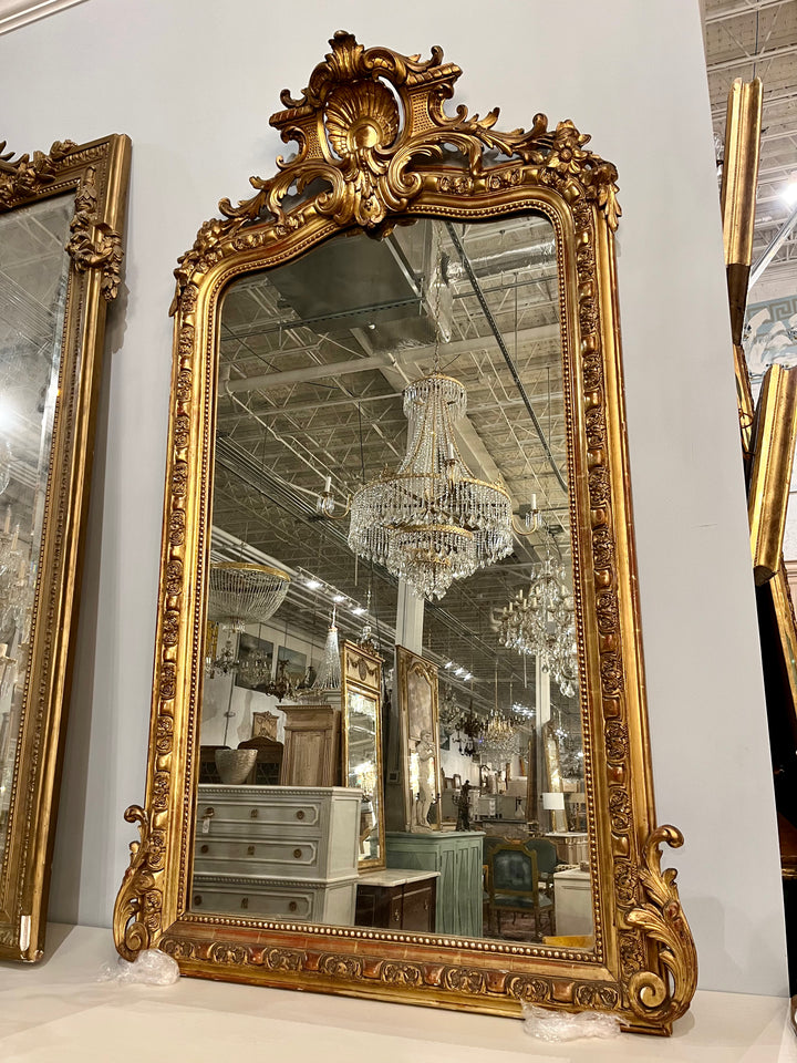 IMG_5385_720x.heic?v=1704815280